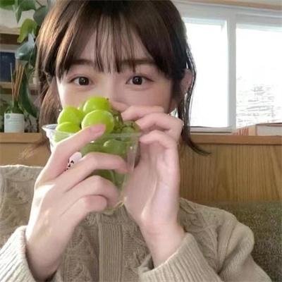 漫游的家庭